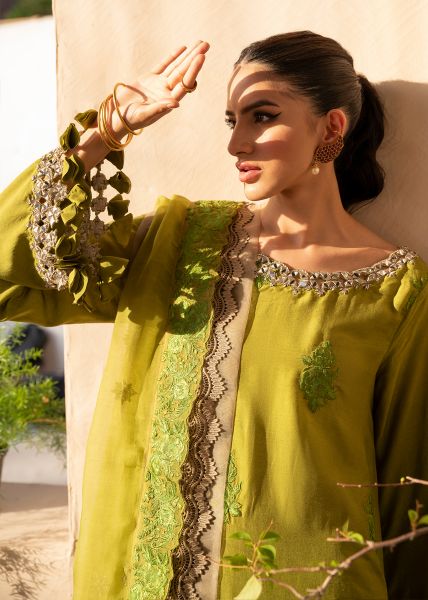 Picture of Lush Evergreen