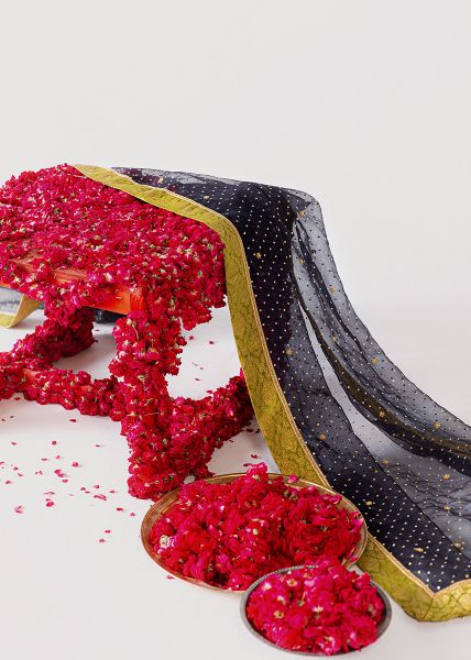 Picture of Bahar Ayin